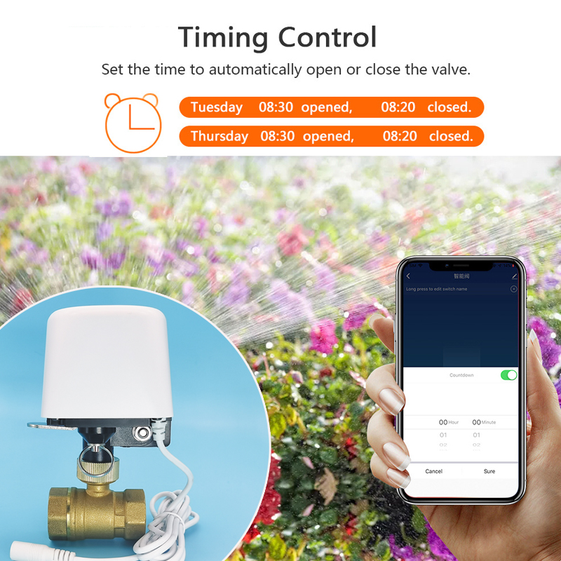 Válvula de agua Tuya Zigbee Wi - Home Assistant Tuya reseña y precio